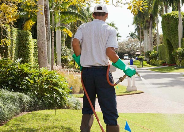 About Adamstown PA Pest Control Pros